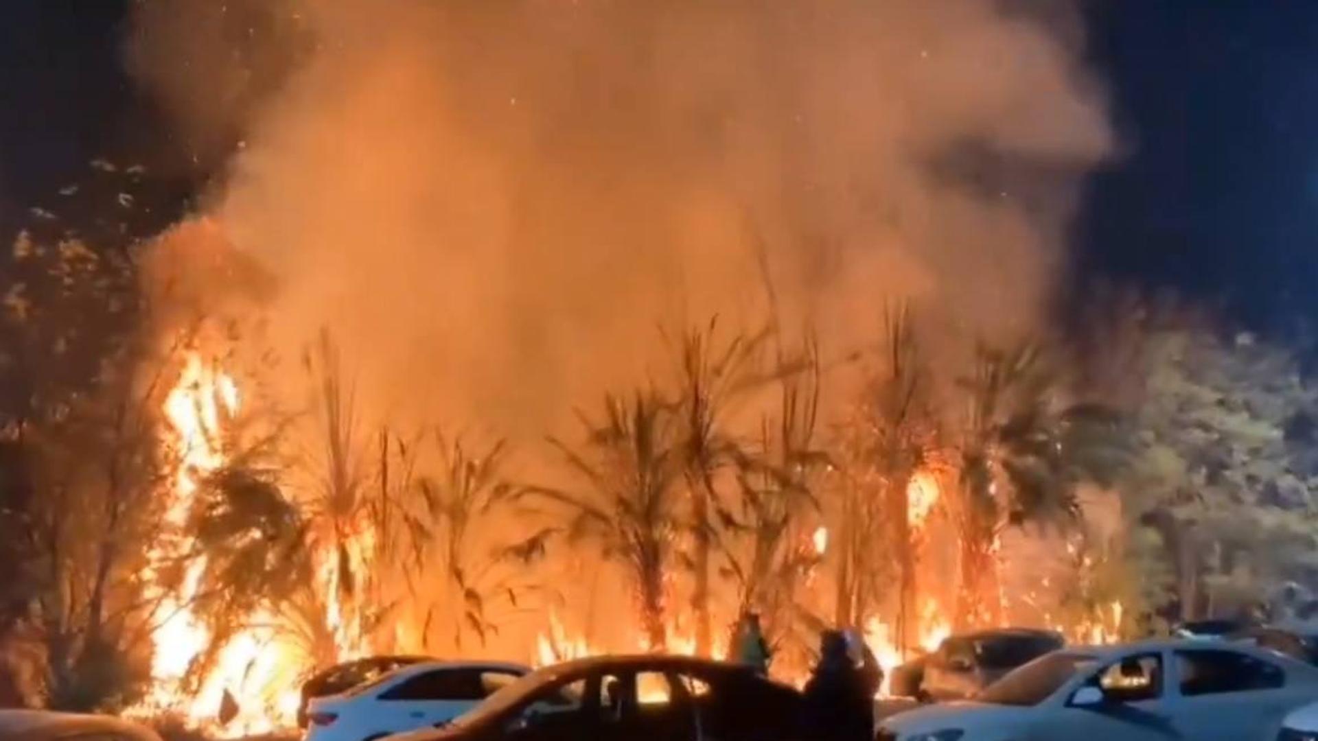 Un Incendio Calcina Tres Coches Y Parte De La Vegetaci N Del Jard N Del